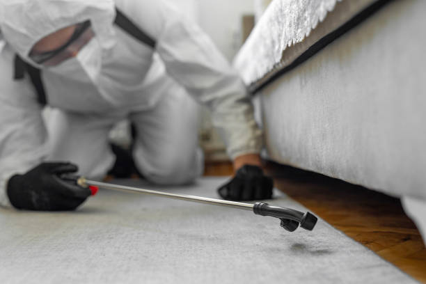 Professional Termite Control technician working in Georgetown, IN
