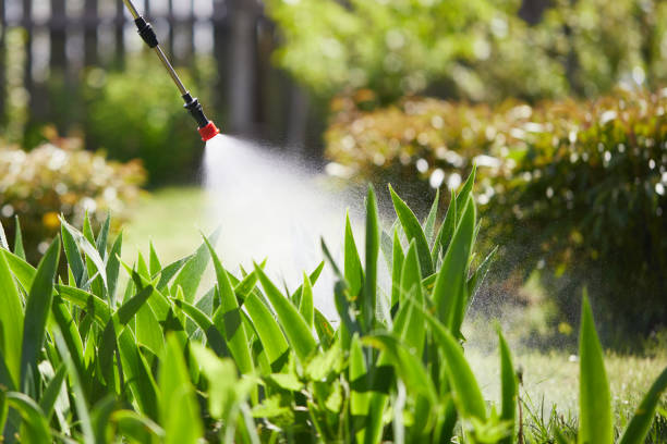 24/7 Emergency Termite Control experts in Georgetown, IN
