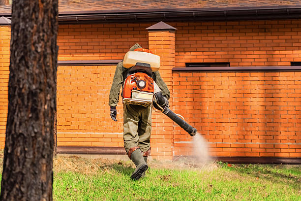 Top rated local Termite Control specialists in Georgetown, IN